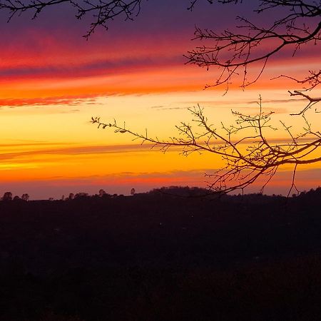 Yosemite Foothill Retreat - Private Guest Suite #2 코어스골드 외부 사진