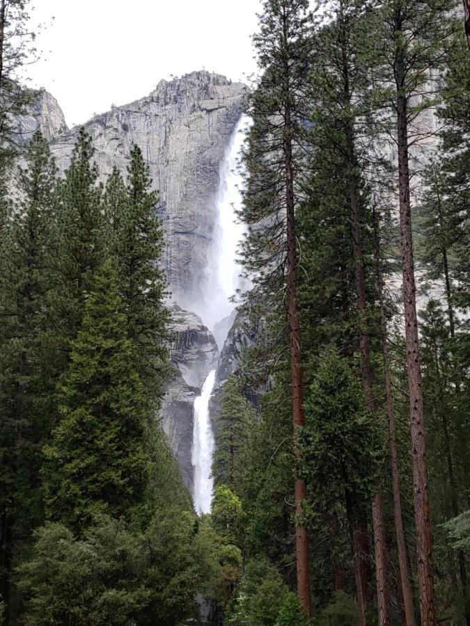 Yosemite Foothill Retreat - Private Guest Suite #2 코어스골드 외부 사진