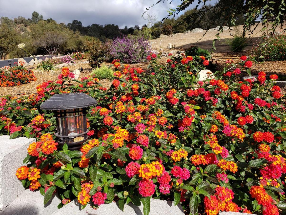 Yosemite Foothill Retreat - Private Guest Suite #2 코어스골드 외부 사진