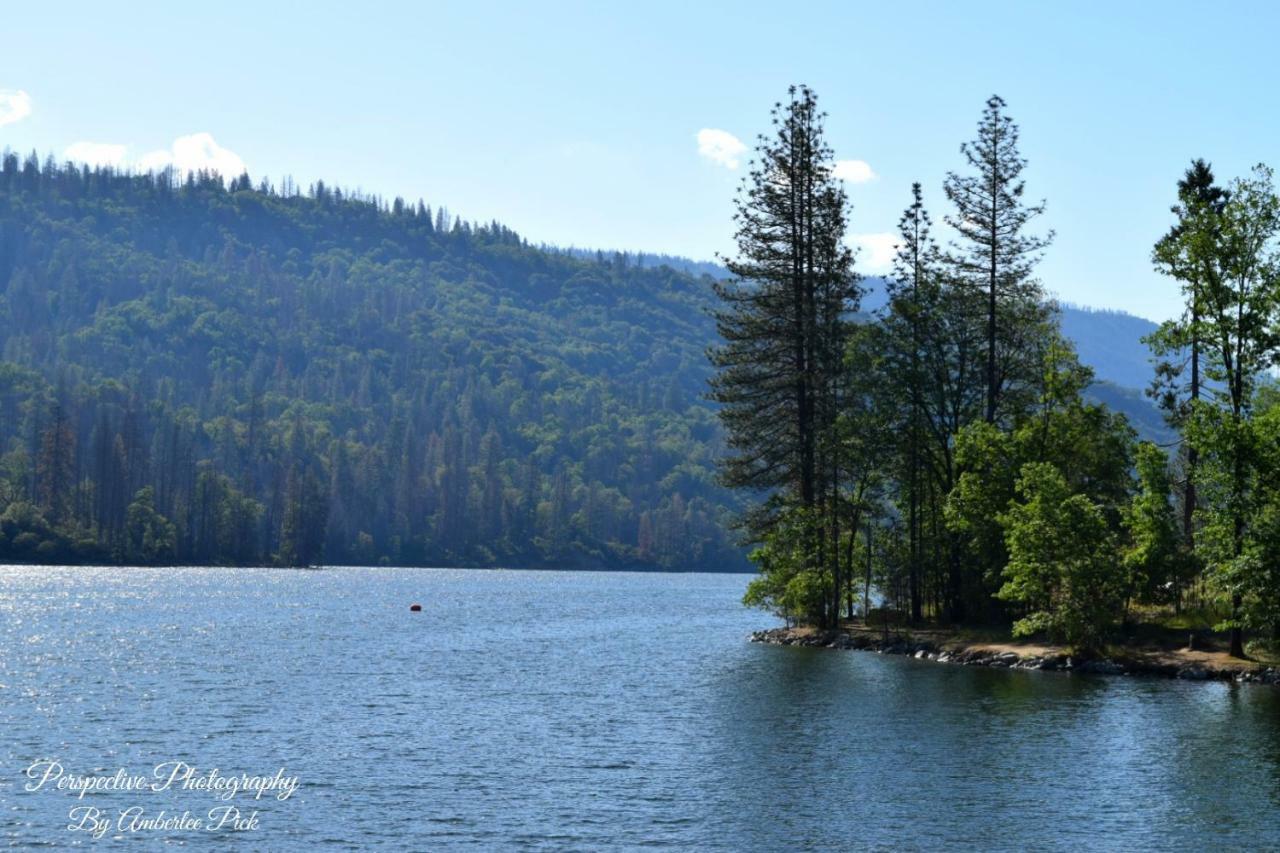 Yosemite Foothill Retreat - Private Guest Suite #2 코어스골드 외부 사진
